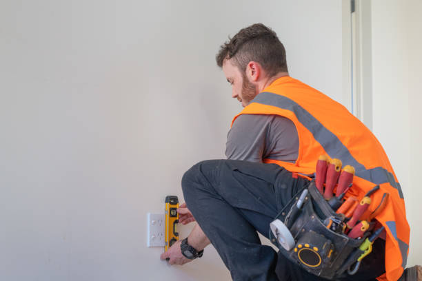 Best Ceiling Fan Installation Electrician  in Nashua, IA
